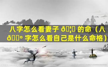 八字怎么看妻子 🦍 的命（八 🐺 字怎么看自己是什么命格）